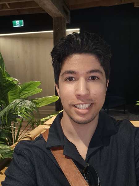 TDog — consulting