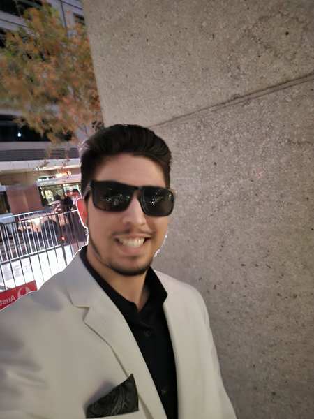TDog — consulting