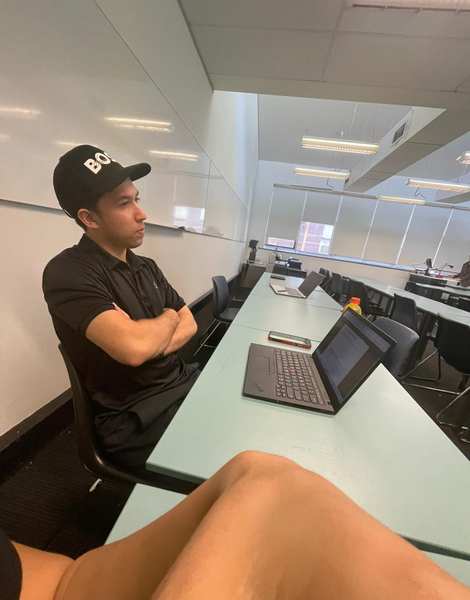 TDog — consulting